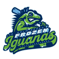 Palm Beach Frozen Iguanas 4" Decal / FREE SHIPPING / Buy 2 Get 1 FREE