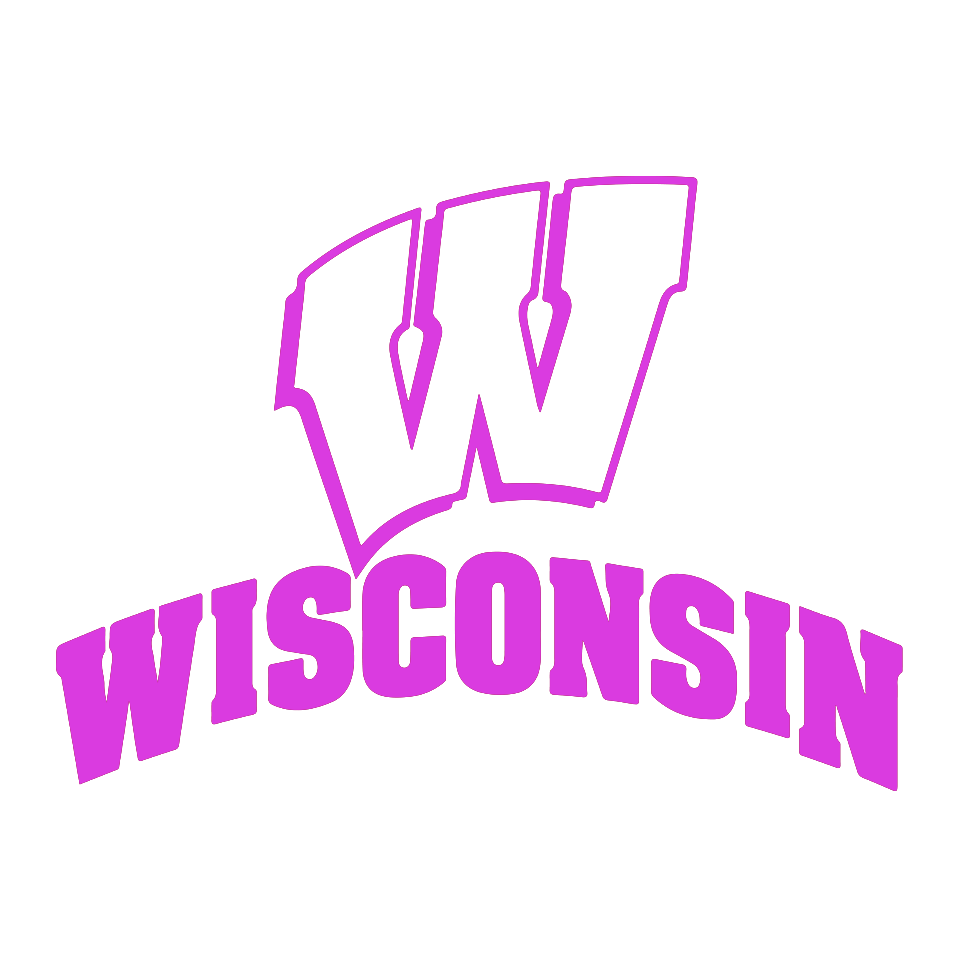 Wisconsin Badgers Die Cut Decal / FREE SHIPPING