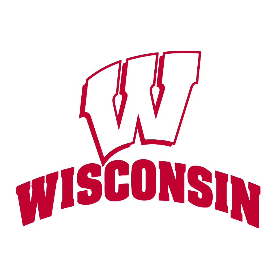Wisconsin Badgers Die Cut Decal / FREE SHIPPING