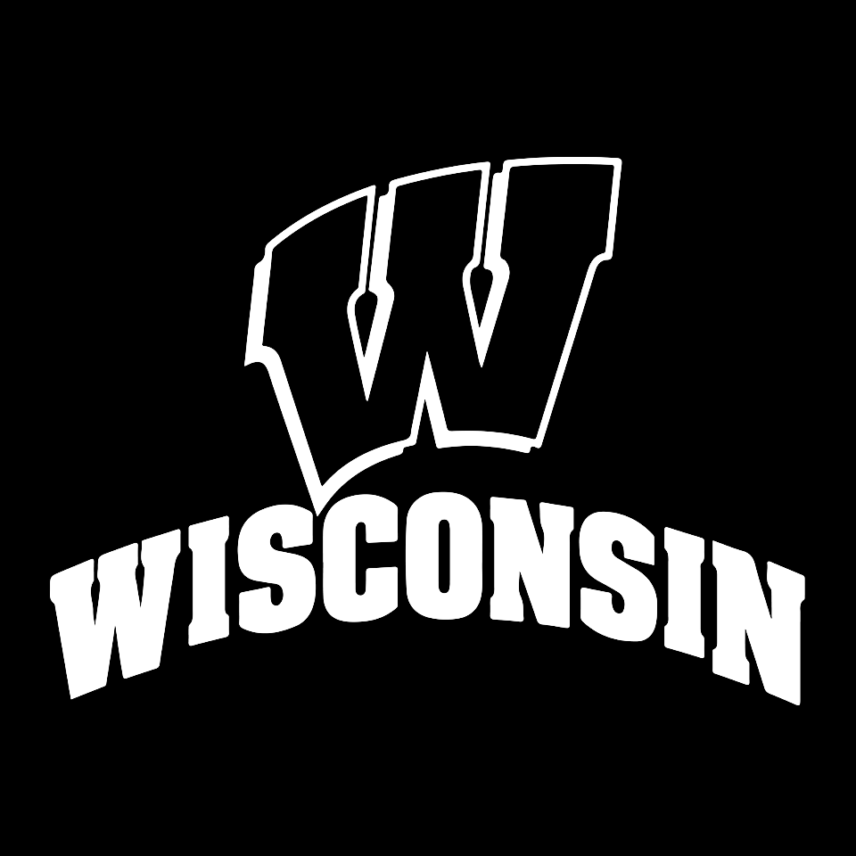 Wisconsin Badgers Die Cut Decal / FREE SHIPPING
